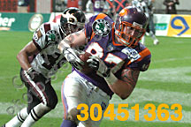 FREE NFL, Super Bowl, photographs and NFL Europe American Football by Wayne  Paulo ©